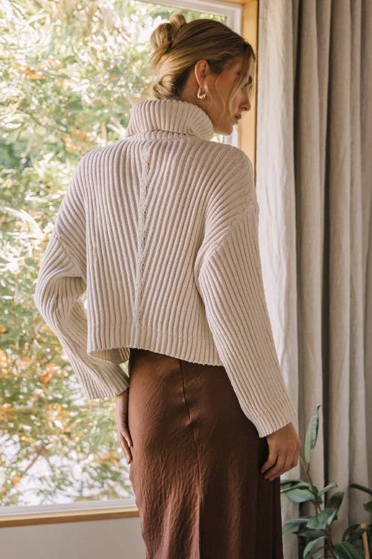 Textured Turtle Neck Sweater