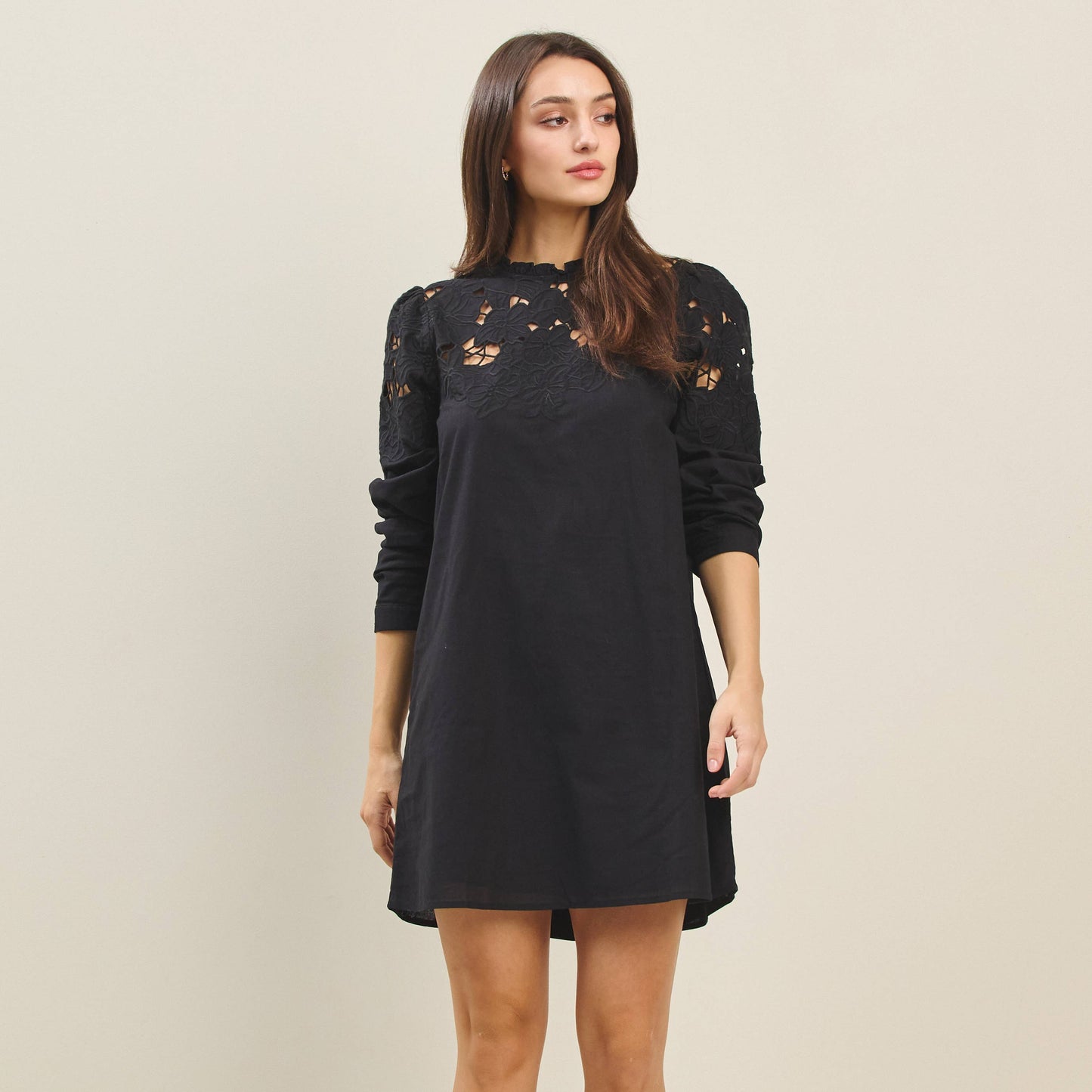 Cutwork Embroidered Long Sleeve Mini Dress