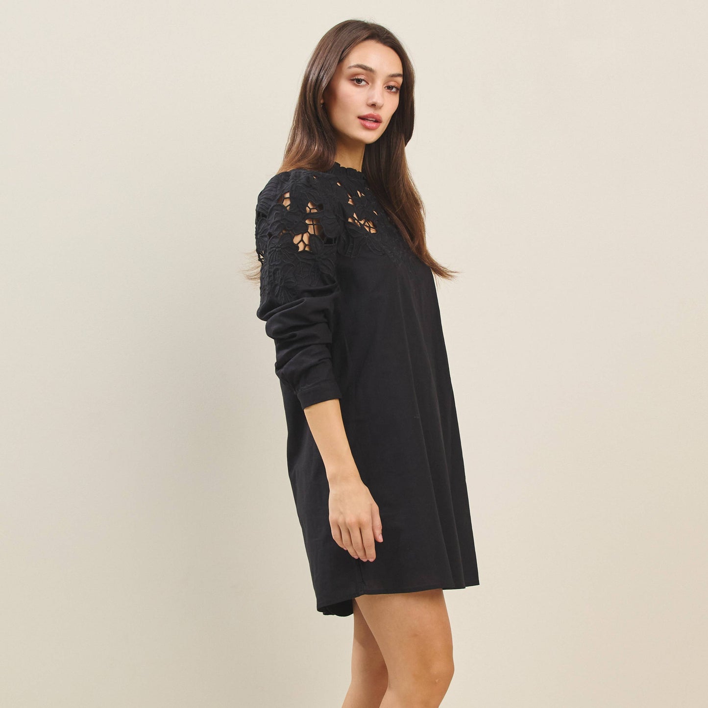 Cutwork Embroidered Long Sleeve Mini Dress