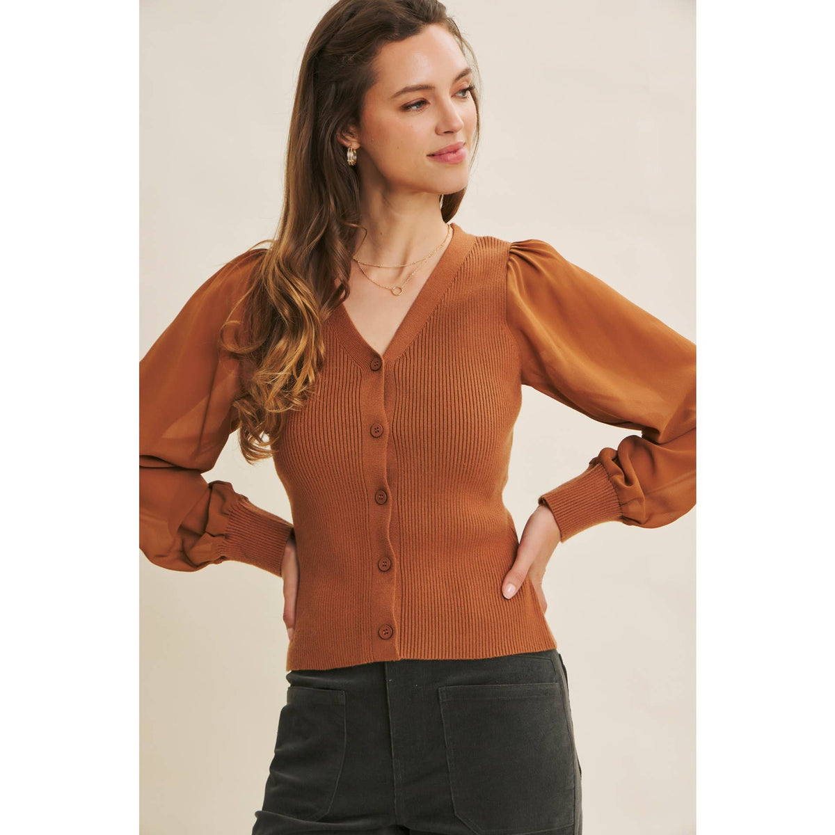 Sheer Sleeve Cardigan Sweater
