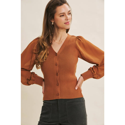 Sheer Sleeve Cardigan Sweater