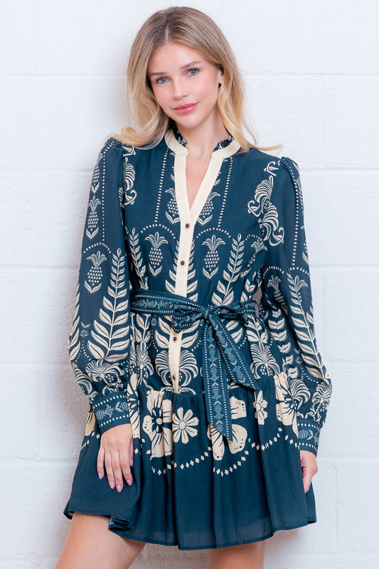 Printed V-Neck Long Sleeve Mini Dress