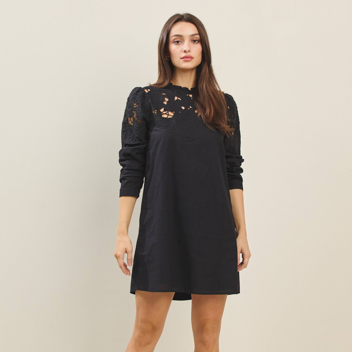 Cutwork Embroidered Long Sleeve Mini Dress