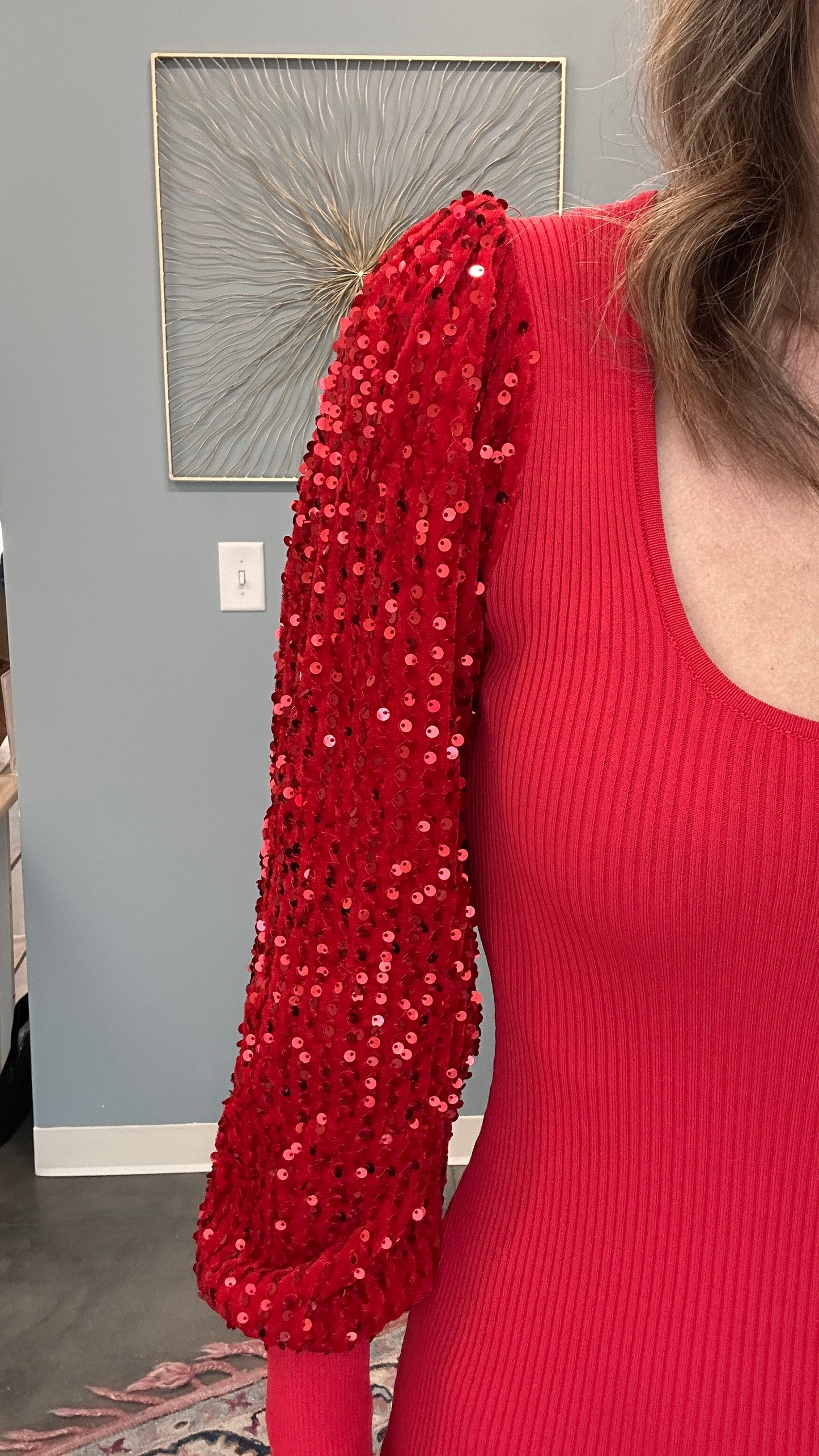 Sequin Sleeve Sweater Dress