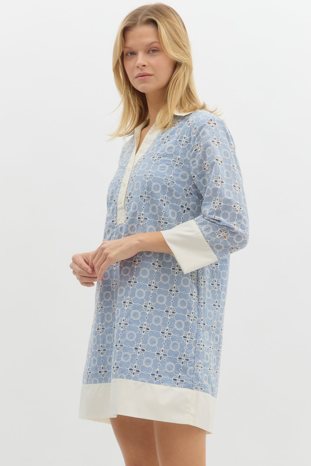 Contrast Trim Embroidery Collar Dress