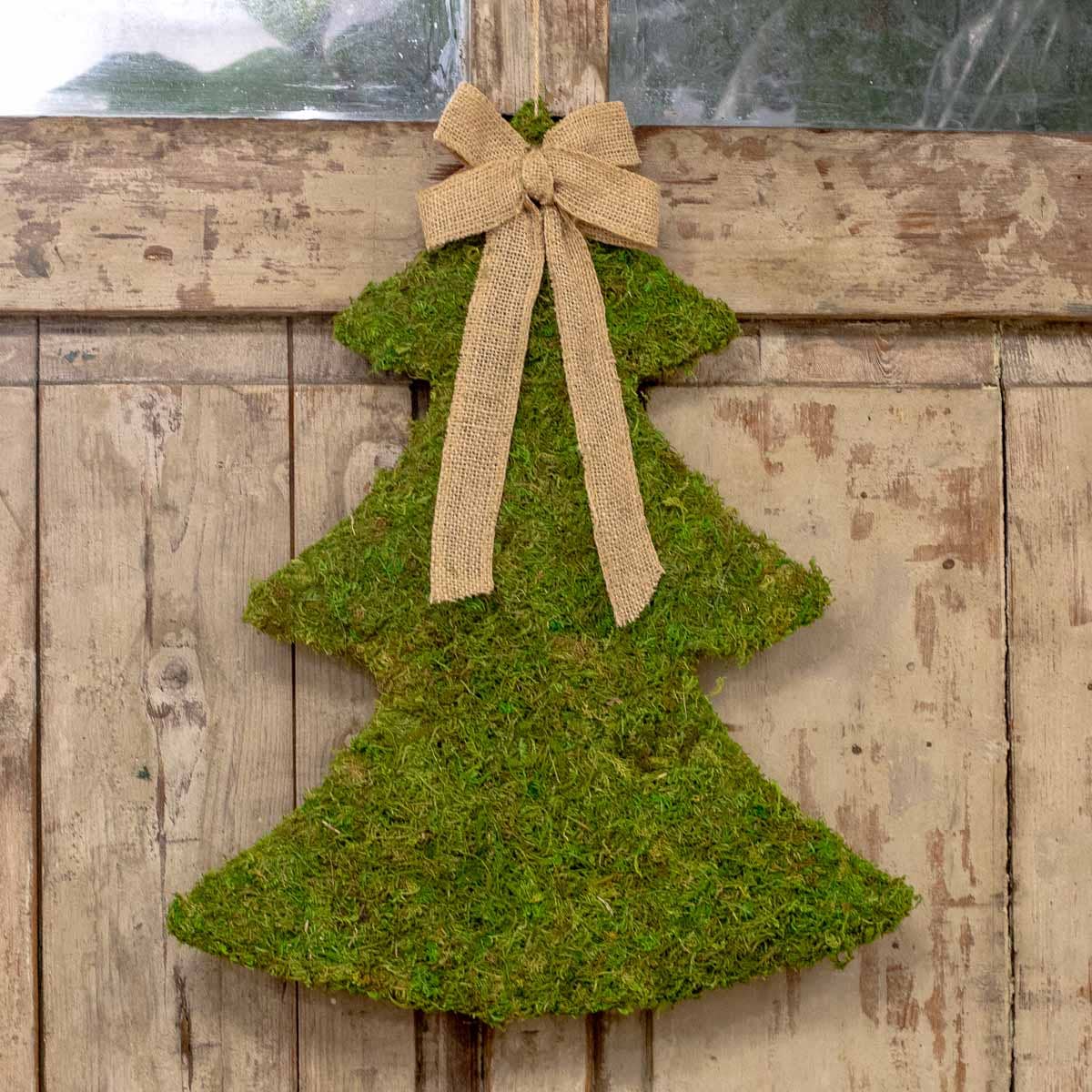 Moss Tree Hanging